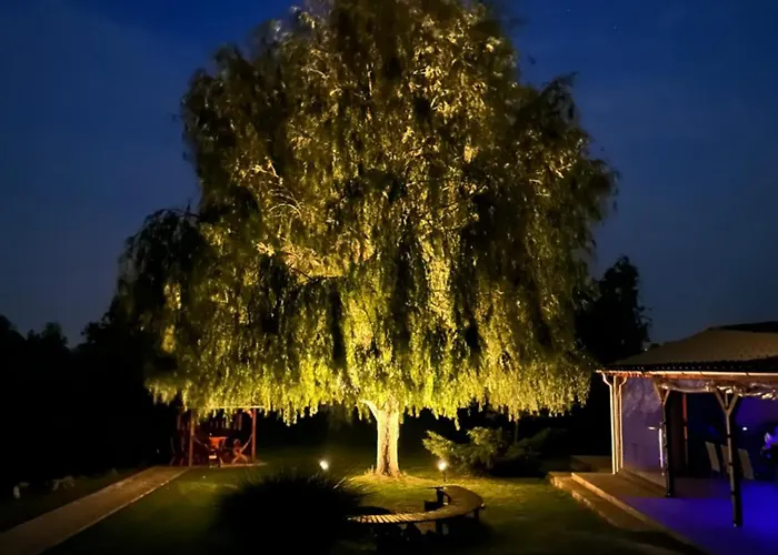 Battonya House